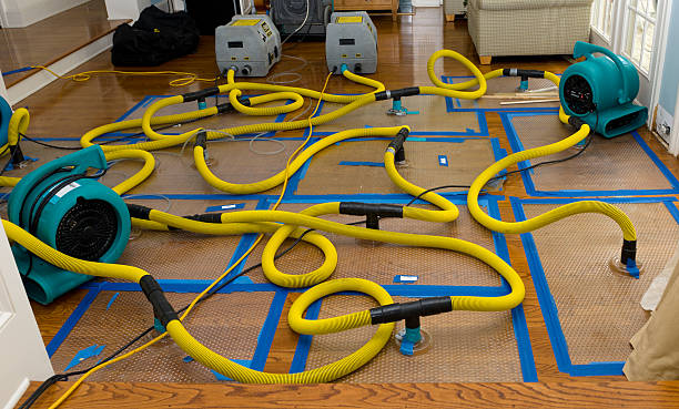Professional Sewage Cleanup technician working in Entiat, WA